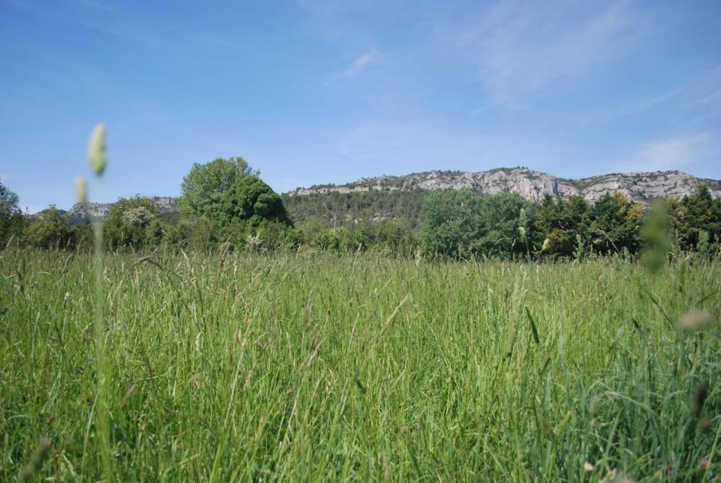 Le Cabanon Tendance Du Luberon Merindol Экстерьер фото